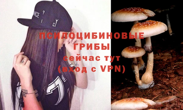 дурь Алексеевка