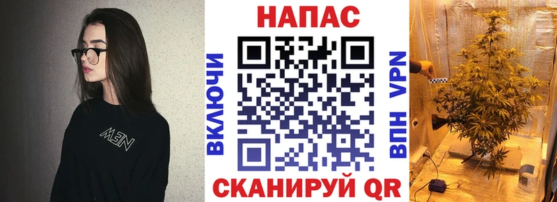 Шишки марихуана Amnesia  Новоалтайск 